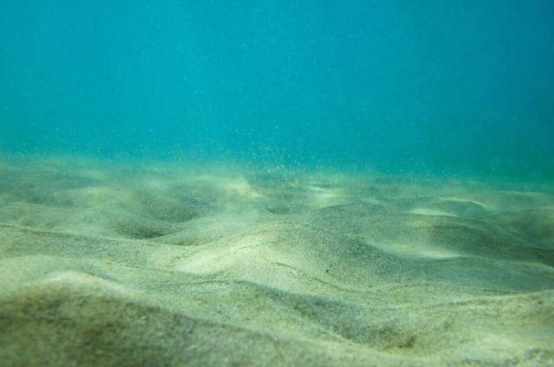 研究称，在海底发现了3000英里宽的“失落大陆”残骸